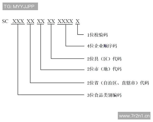 全新竞技赛事规则解读与实施细则全面解析